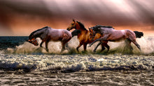 Load image into Gallery viewer, Wild Horses Galloping on Beach Wall Mural. Peel and Stick Wallpaper. #6458
