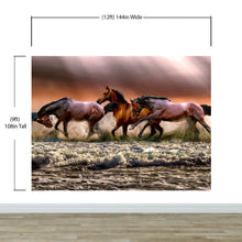 Carregar imagem no visualizador da galeria, Wild Horses Galloping on Beach Wall Mural. Peel and Stick Wallpaper. #6458
