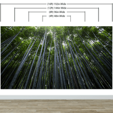 Carregar imagem no visualizador da galeria, Tall Bamboo Tree Forest Wall Mural. Peaceful, Serenity, Zen Background Wallpaper. #6463
