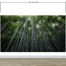 Carregar imagem no visualizador da galeria, Tall Bamboo Tree Forest Wall Mural. Peaceful, Serenity, Zen Background Wallpaper. #6463
