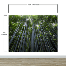 Load image into Gallery viewer, Tall Bamboo Tree Forest Wall Mural. Peaceful, Serenity, Zen Background Wallpaper. #6463
