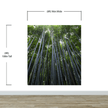 Load image into Gallery viewer, Tall Bamboo Tree Forest Wall Mural. Peaceful, Serenity, Zen Background Wallpaper. #6463
