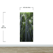 Carregar imagem no visualizador da galeria, Tall Bamboo Tree Forest Wall Mural. Peaceful, Serenity, Zen Background Wallpaper. #6463
