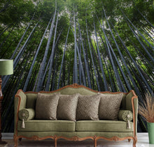 Load image into Gallery viewer, Tall Bamboo Tree Forest Wall Mural. Peaceful, Serenity, Zen Background Wallpaper. #6463
