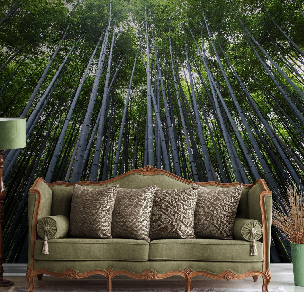 Tall Bamboo Tree Forest Wall Mural. Peaceful, Serenity, Zen Background Wallpaper. #6463