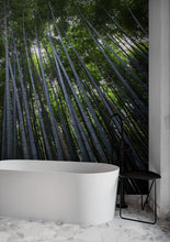 Carregar imagem no visualizador da galeria, Tall Bamboo Tree Forest Wall Mural. Peaceful, Serenity, Zen Background Wallpaper. #6463
