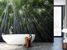 Carregar imagem no visualizador da galeria, Tall Bamboo Tree Forest Wall Mural. Peaceful, Serenity, Zen Background Wallpaper. #6463
