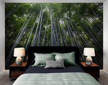 Carregar imagem no visualizador da galeria, Tall Bamboo Tree Forest Wall Mural. Peaceful, Serenity, Zen Background Wallpaper. #6463
