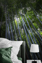 Carregar imagem no visualizador da galeria, Tall Bamboo Tree Forest Wall Mural. Peaceful, Serenity, Zen Background Wallpaper. #6463
