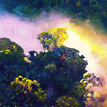 Cargar imagen en el visor de la galería, Tropical Rainforest Wall Mural Painting. #6475
