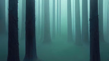 Cargar imagen en el visor de la galería, Foggy Forest Wall Mural. Emerald Green Mist Wallpaper. #6476
