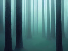 Cargar imagen en el visor de la galería, Foggy Forest Wall Mural. Emerald Green Mist Wallpaper. #6476
