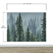 Load image into Gallery viewer, Nature Rainforest Wall Mural Wallpaper. Misty Forest Landscape. #6494
