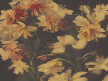 Load image into Gallery viewer, Vintage Dark Background with Yellow Flowers Botanical Wallpaper. #6497
