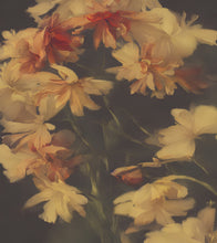 Load image into Gallery viewer, Vintage Dark Background with Yellow Flowers Botanical Wallpaper. #6497
