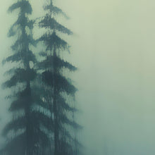 Load image into Gallery viewer, Misty Forest Wallpaper, Peel and Stick Wall Mural. #6501
