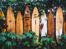 Load image into Gallery viewer, Surfboards Wall Mural. Peel and Stick Wallpaper. Summer Tropical Beach Theme Decor. #6509
