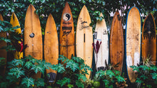 Carregar imagem no visualizador da galeria, Surfboards Wall Mural. Peel and Stick Wallpaper. Summer Tropical Beach Theme Decor. #6509
