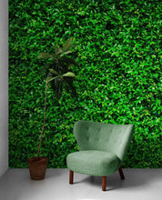 Cargar imagen en el visor de la galería, Greenery Grass Background Wallpaper Mural. #6551
