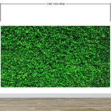 Cargar imagen en el visor de la galería, Greenery Grass Background Wallpaper Mural. #6551
