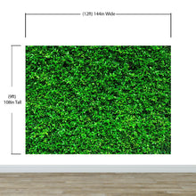 Cargar imagen en el visor de la galería, Greenery Grass Background Wallpaper Mural. #6551
