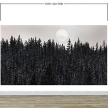 Cargar imagen en el visor de la galería, Foggy Forest Wall Mural. Peel and Stick Wallpaper. Monotone Grey Nature Wallpaper. Rain Forest Wall Mural. #6560
