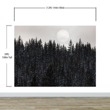 Cargar imagen en el visor de la galería, Foggy Forest Wall Mural. Peel and Stick Wallpaper. Monotone Grey Nature Wallpaper. Rain Forest Wall Mural. #6560
