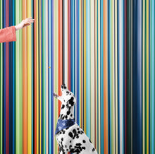 Load image into Gallery viewer, Vertical Line Color Stripes Wallpaper. Bright Rainbow Color Lines Wall Mural. #6597
