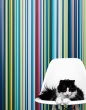 Load image into Gallery viewer, Vertical Line Color Stripes Wallpaper. Bright Rainbow Color Lines Wall Mural. #6597
