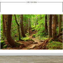 Load image into Gallery viewer, Green Forest Woodland Wall Mural – Nature&#39;s Embrace Peel and Stick Wallpaper #6647
