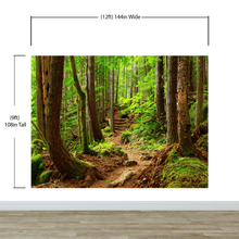 Load image into Gallery viewer, Green Forest Woodland Wall Mural – Nature&#39;s Embrace Peel and Stick Wallpaper #6647
