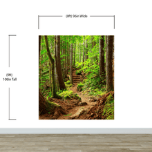 Load image into Gallery viewer, Green Forest Woodland Wall Mural – Nature&#39;s Embrace Peel and Stick Wallpaper #6647
