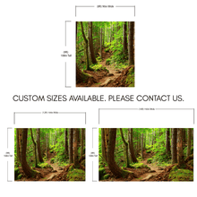 Load image into Gallery viewer, Green Forest Woodland Wall Mural – Nature&#39;s Embrace Peel and Stick Wallpaper #6647
