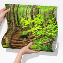 Load image into Gallery viewer, Green Forest Woodland Wall Mural – Nature&#39;s Embrace Peel and Stick Wallpaper #6647
