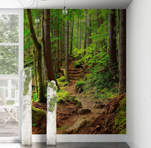 Load image into Gallery viewer, Green Forest Woodland Wall Mural – Nature&#39;s Embrace Peel and Stick Wallpaper #6647
