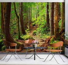 Load image into Gallery viewer, Green Forest Woodland Wall Mural – Nature&#39;s Embrace Peel and Stick Wallpaper #6647
