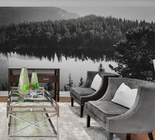 Load image into Gallery viewer, Black and White Mountain Over Looking Lake and Forest Wallpaper. #6671
