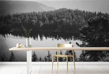 Cargar imagen en el visor de la galería, Black and White Mountain Over Looking Lake and Forest Wallpaper. #6671
