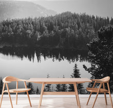 Load image into Gallery viewer, Black and White Mountain Over Looking Lake and Forest Wallpaper. #6671
