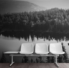 Load image into Gallery viewer, Black and White Mountain Over Looking Lake and Forest Wallpaper. #6671
