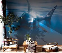 Load image into Gallery viewer, Great White Shark Wall Mural. Peel and Stick Wallpaper. #6700
