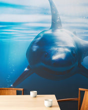 Carregar imagem no visualizador da galeria, Great White Shark Wall Mural. Peel and Stick Wallpaper. #6700
