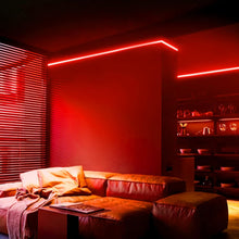 Carregar imagem no visualizador da galeria, 110V LED Neon Red Rope Light (6W/Meter, 189Lumens/M) - Dimmable, IP65, 120LEDs/Meter - ETL Listed
