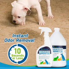 Load image into Gallery viewer, Pet Stain and Odor Eliminator
