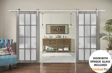 Cargar imagen en el visor de la galería, Felicia 3312 Ginger Ash Grey Double Barn Door with 12 Lites Frosted Glass and Silver Rail
