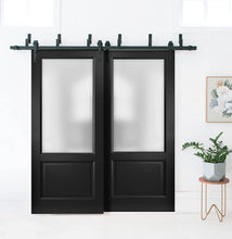 Cargar imagen en el visor de la galería, Lucia 22 Matte Black Double Barn Door with Frosted Glass | Black Bypass Rail
