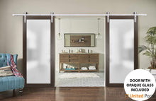 Cargar imagen en el visor de la galería, Planum 2102 Chocolate Ash Double Barn Door with Frosted Glass and Silver Rail
