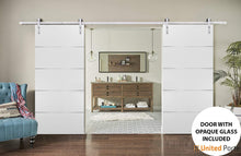 Cargar imagen en el visor de la galería, Planum 0020 White Silk Double Barn Door and Silver Rail
