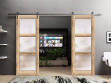 Cargar imagen en el visor de la galería, Lucia 2552 Oak Double Barn Door with Frosted Glass and Silver Rail
