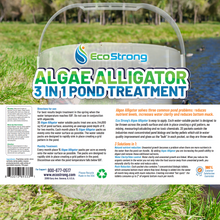 Load image into Gallery viewer, Algae Alligator
